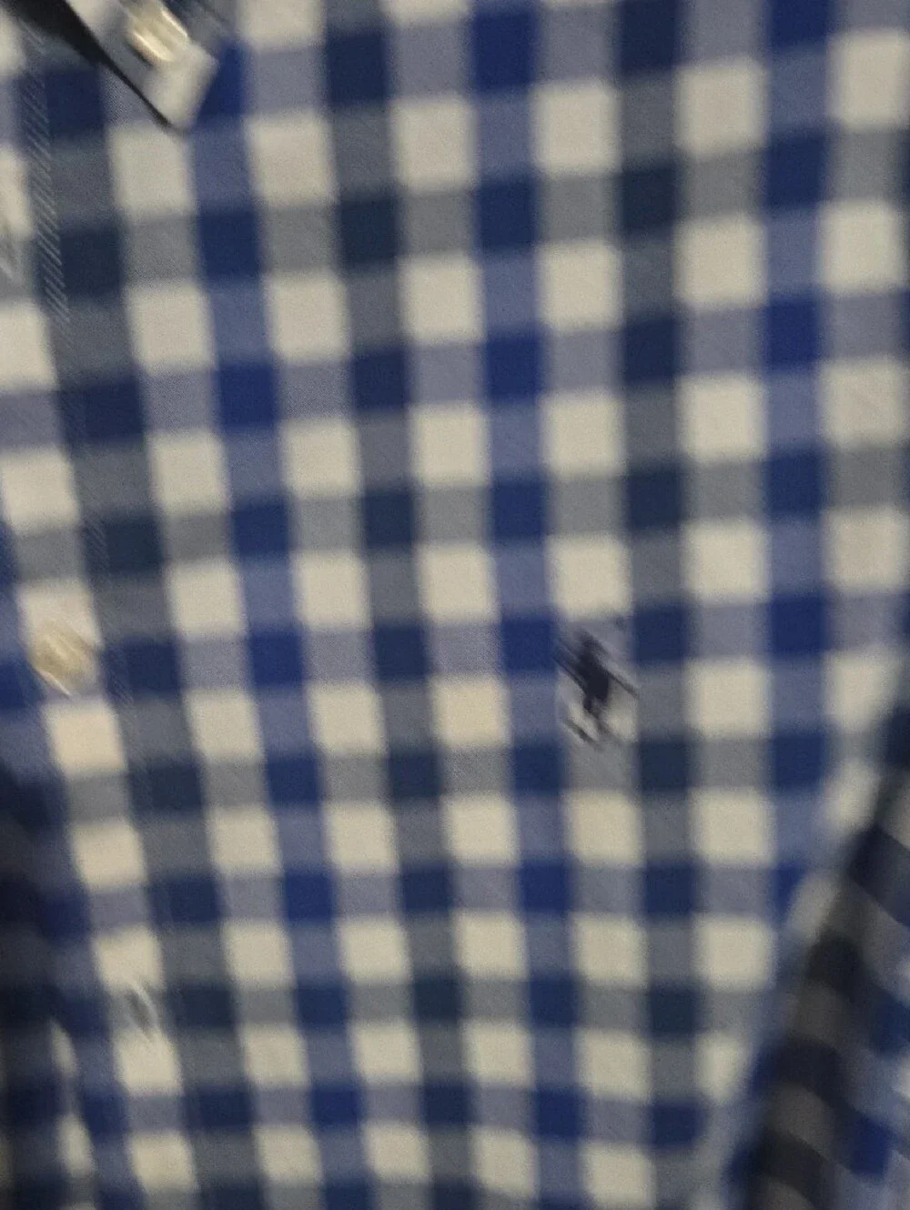 Ralph Lauren Blue & White Gingham Button-Down Shirt Boys 14/16 Large
